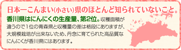 日本一こんまい（小さい）県のほとんど知られていないこと。香川県はにんにくの生産量、第2位。収穫面積が違うので1位の青森県と収穫量の差は格段にありますが、大規模栽培が出来ないため、丹念に育てられた高品質なにんにくが香川県にあります。