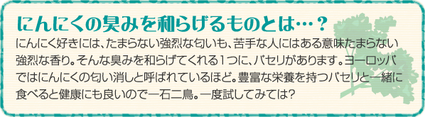 にんにくの臭みを和らげるものとは…？にんにく好きには、たまらない強烈な匂いも、苦手な人にはある意味たまらない強烈な香り。そんな臭みを和らげてくれる1つに、パセリがあります。ヨーロッパではにんにくの匂い消しと呼ばれるほど。豊富な栄養を持つパセリと一緒に食べると健康にも良いので一石二鳥。一度試してみては？